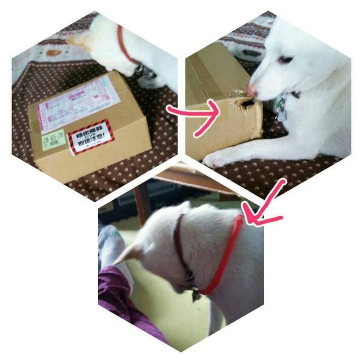 Fc3f29d2 22da 4507 a0e4 9299b2a727fd