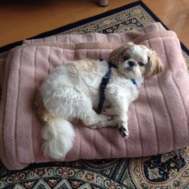 Fc3f68b8 564a 428c 8646 f216e348dca0