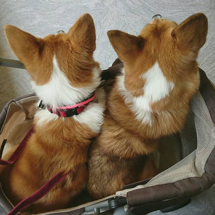 Fc3ff4a4 80fd 4028 a49c c363ef26b071