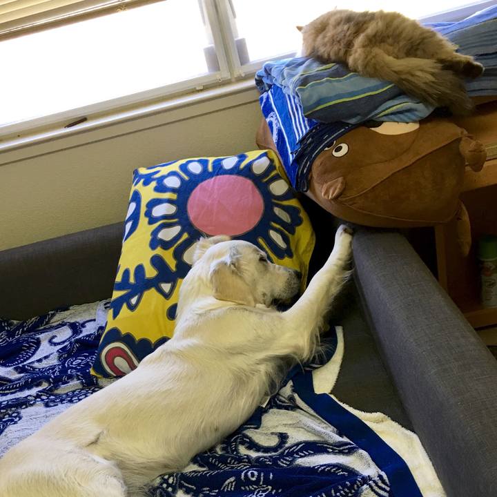 Fc40487a a747 45af b6e1 de326d4220d6