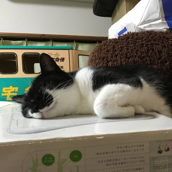 Fc40d3a9 a29f 498c a5db 26a1f83e87b9