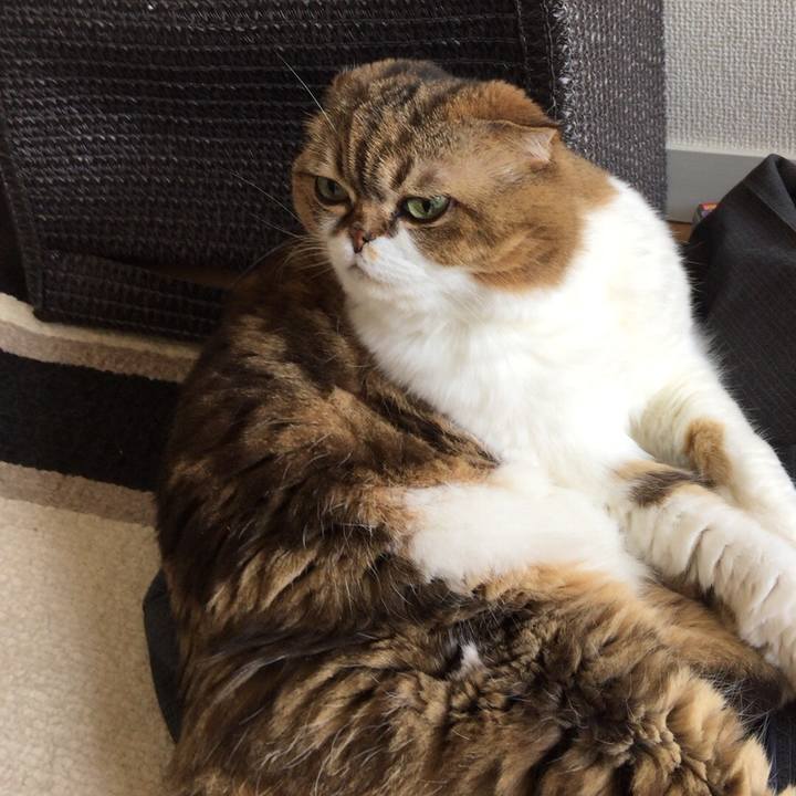 Fc414ba0 7946 469b 97e4 edaca43478c5