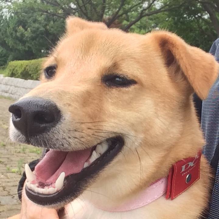 Fc428c32 8d8e 4a88 b3c3 47e81c0e426f