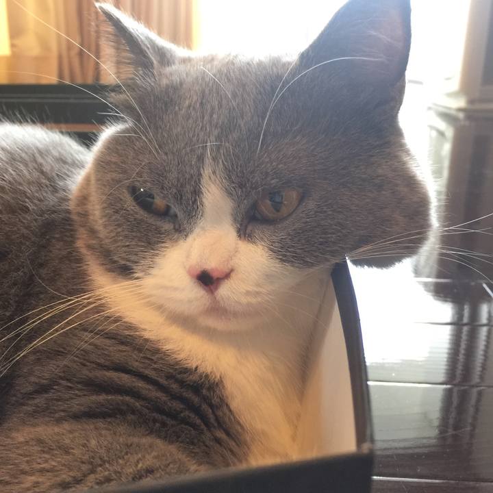 Fc42fdd5 323d 4487 8d80 22f92efb7449