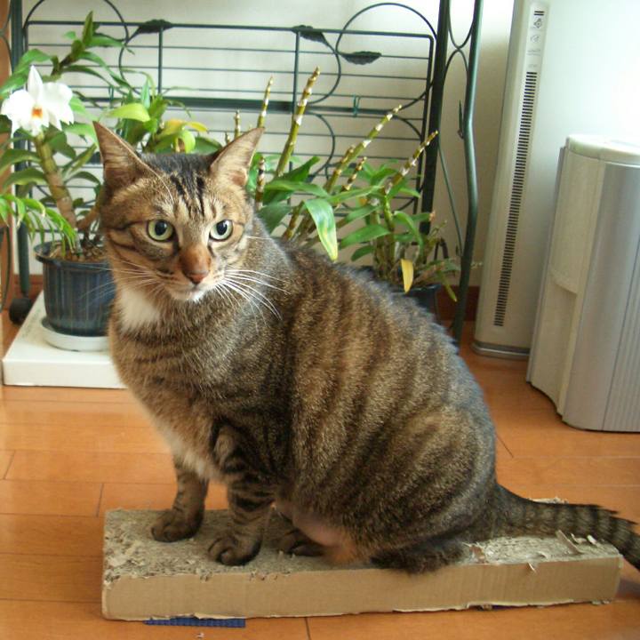 Fc430718 f0d2 49ce a78b 04dfdce9f255