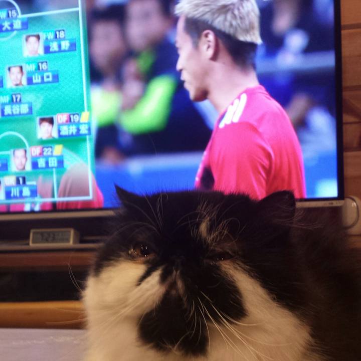 Fc433340 d954 4901 86e7 bdceca4055d5