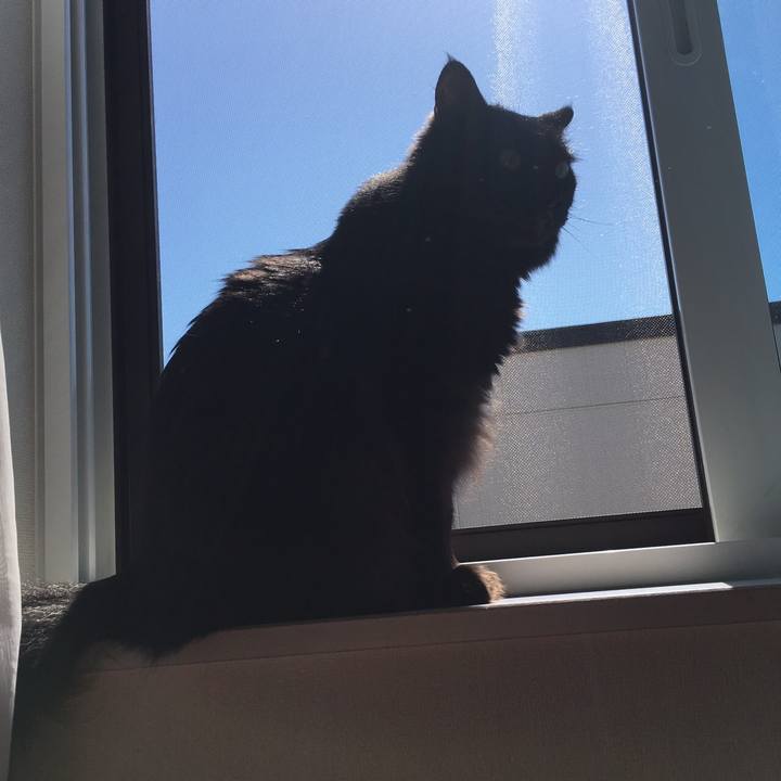 Fc4390d4 bb25 4aed a4a5 490e08d90ca9