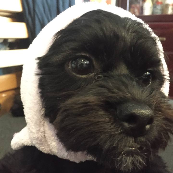 Fc43cee3 0f0e 4de9 b533 f8c49e5818c2