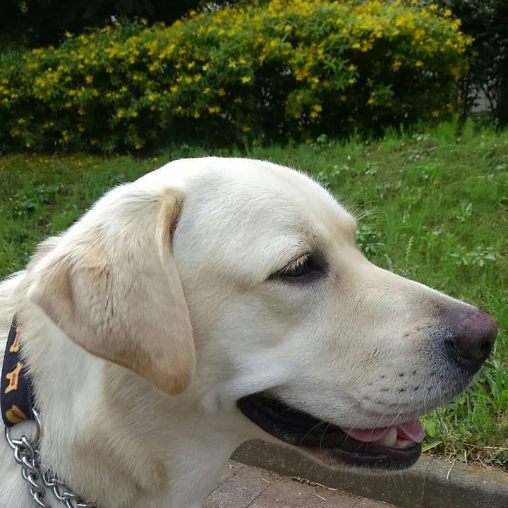 Fc43e968 aa5c 4ff6 8f4e 4e380b027ee8