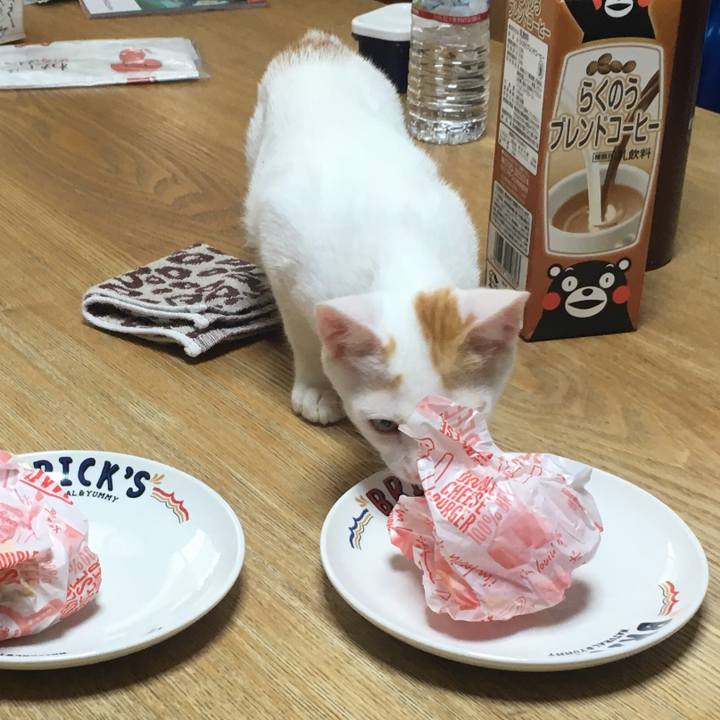 Fc44ac11 a99d 4586 b7d0 9600d03d2bff