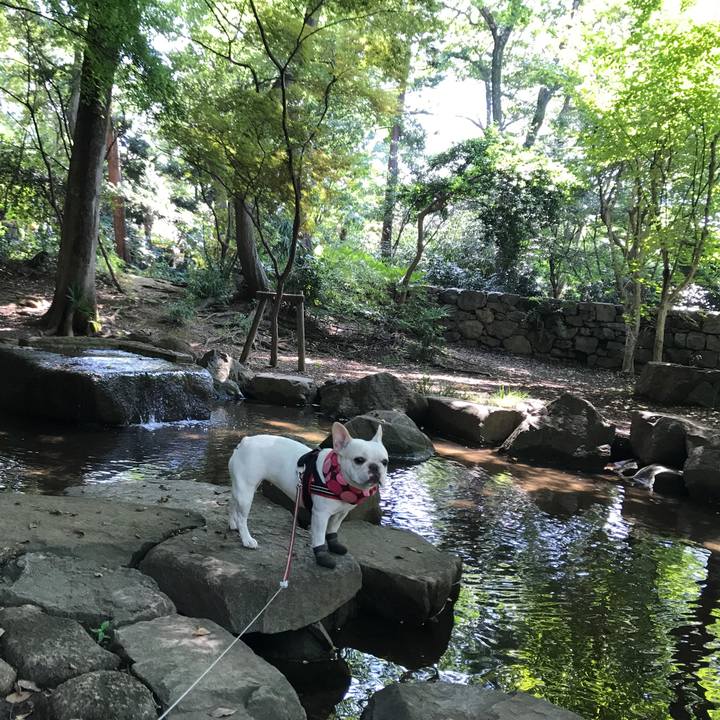 Fc44b338 9edc 4197 b7a6 ab9d109ff9b7