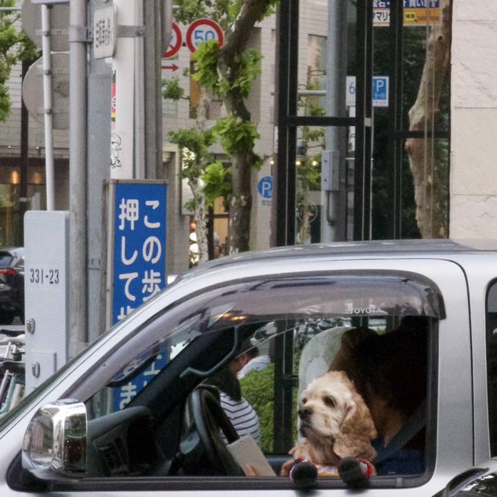 Fc44c8e7 c1d8 43b0 a3f6 a19034036b97