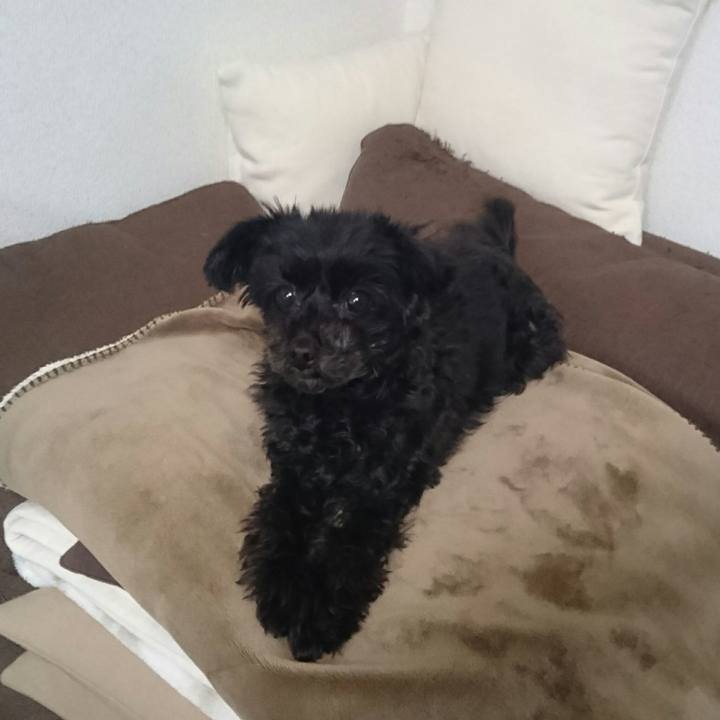 Fc44f861 4fb2 4057 b441 d00d55738f0d