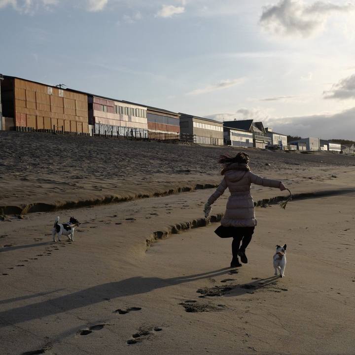 Fc452606 a0c5 41db 853e d97c9cc7bc1a