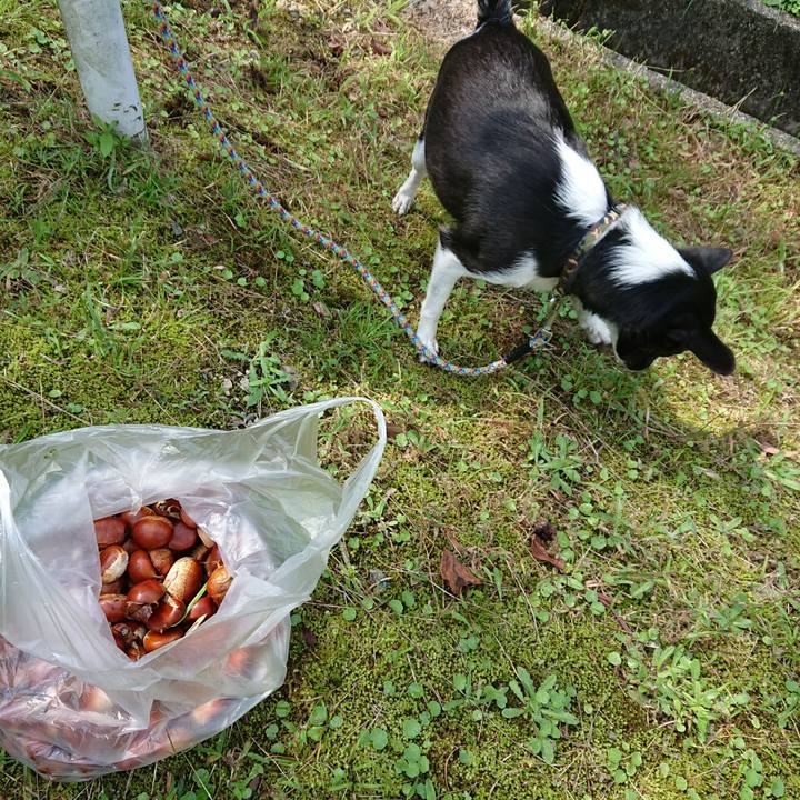 Fc456296 6f37 4260 a01b 9b17025a8285