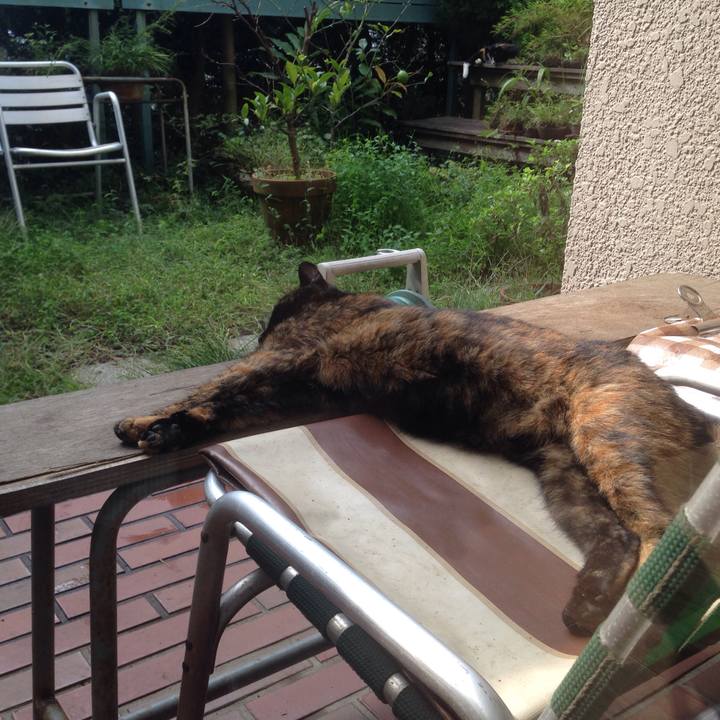 Fc457af1 b2d6 4329 a398 fb6ceaa409ca