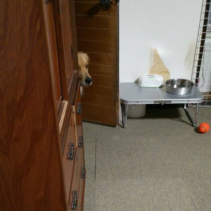 Fc4591c1 519a 4c0d 901f 3a6c4b0d4951