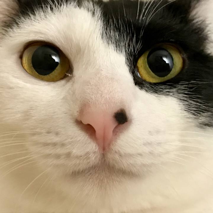 Fc45a572 de7d 409d bb2f 746c83a02a31