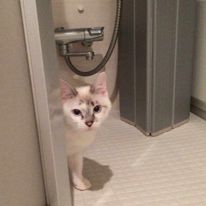 Fc45d40a 6745 48d3 8bb7 8d792f385213