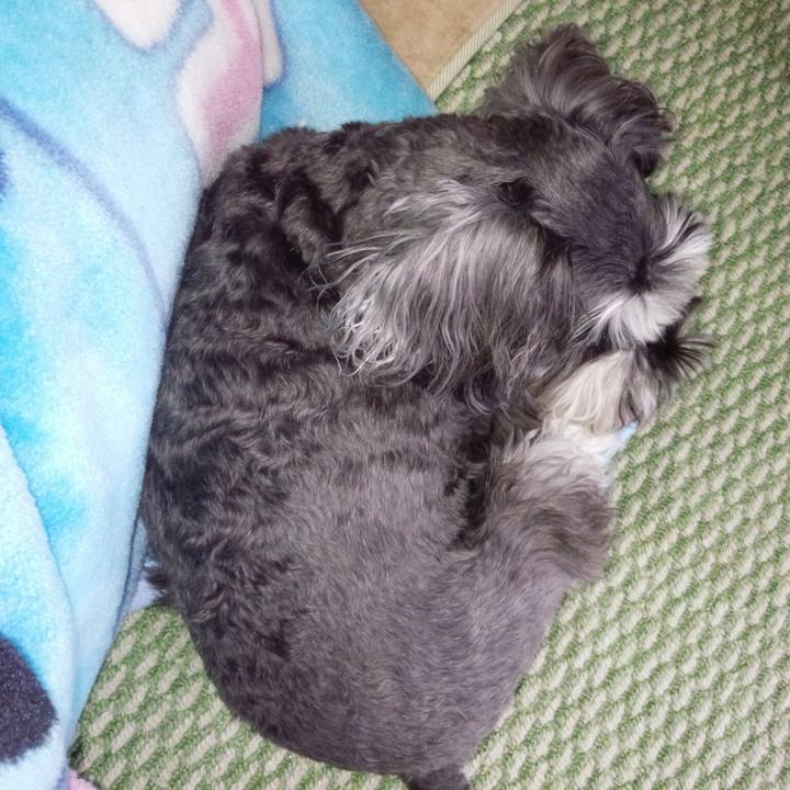 Fc461e6c 61b7 4fec 977e 191e80de0c06