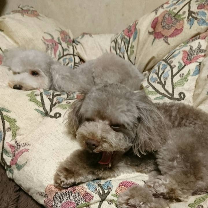 Fc4642a8 9b7d 46ac b295 d2bbd9a3665f