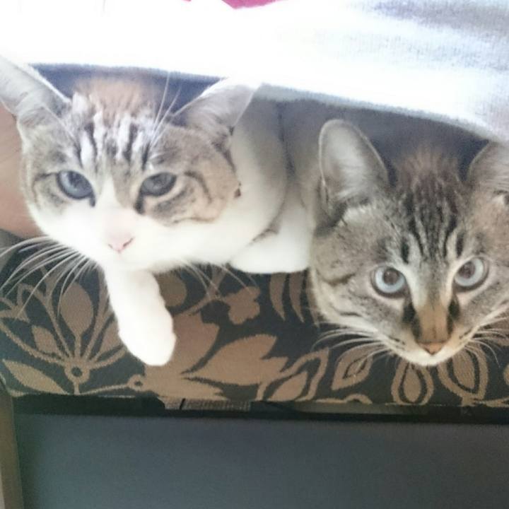 Fc4651b8 1738 4a33 bf3a 93298c6a3625