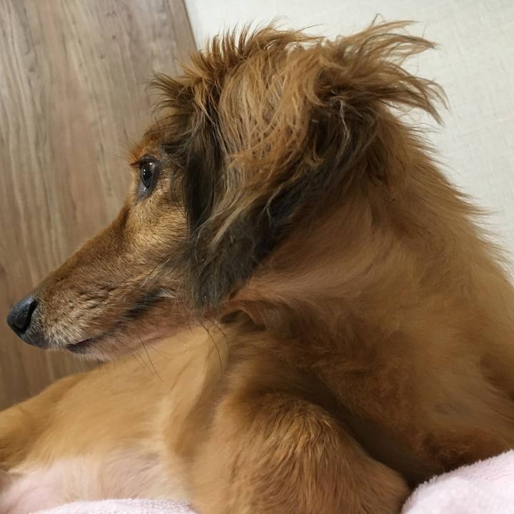 Fc465ecc 3495 4c53 9477 ed226642d0a8