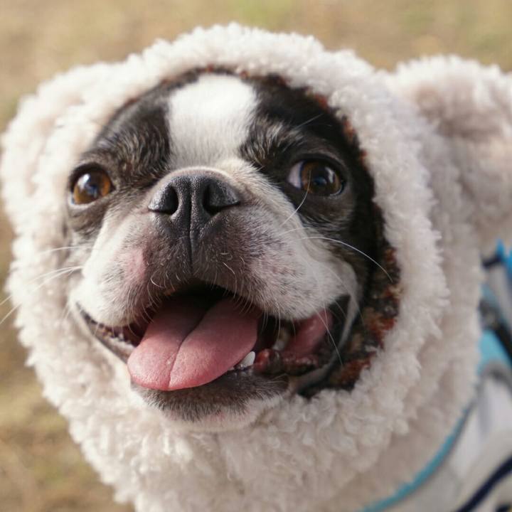 Fc467181 86cf 4c76 bf4b 0a2a07d91caf