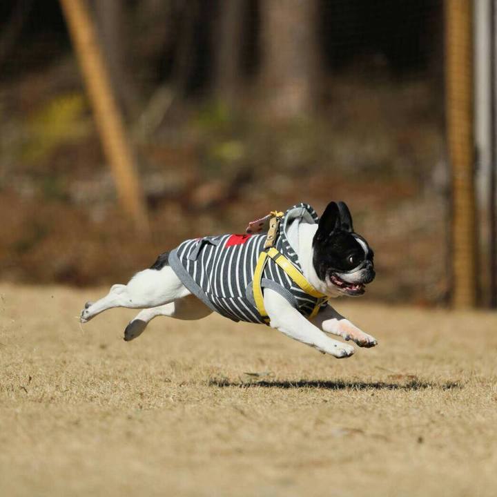 Fc46718f 8681 441f 8056 fff492da053e