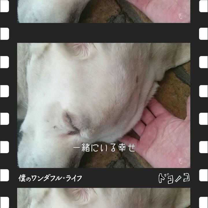 Fc46b8f2 bd73 4abf ae3e e009b4d65163