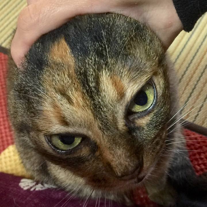 Fc46f7d5 42f2 449b 8b24 bd8bcbd2e408