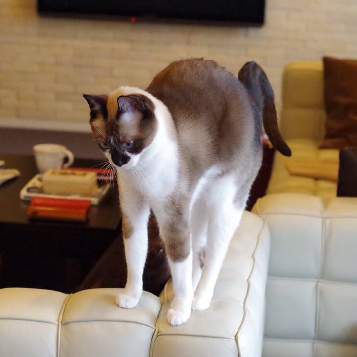 Fc47762e d108 4f11 bb0c 14ec0b03a7d6