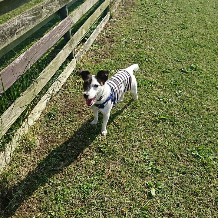 Fc4839f1 cbe8 425a 9be9 bb8c9005528c