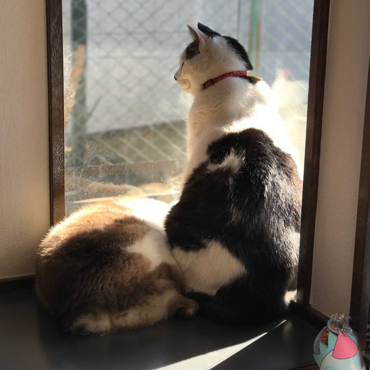 Fc483d3c daf6 48e3 9843 387da5df8eb7