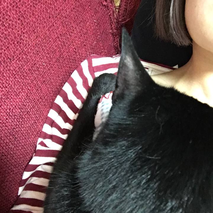 Fc494bc2 5f79 4902 a7c6 7ddee1c3ccd4