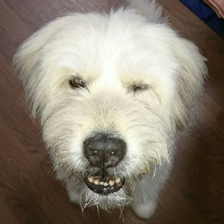 Fc497d1f 1bfb 4342 969c 07a8daa13099