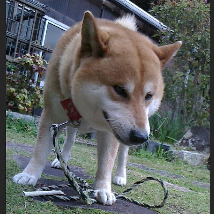 Fc49cdb5 bb9e 42ab af48 4739b5021ba4