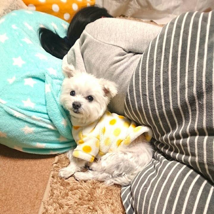 Fc49f3be 8095 4f3f 9fb6 a82a61868afa