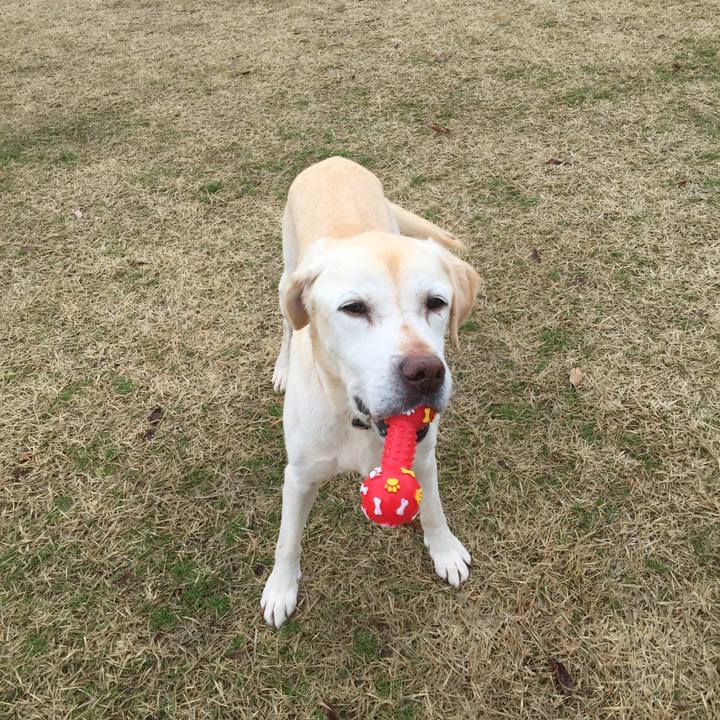 Fc4b2857 8bfe 4699 88a8 54532ca46020