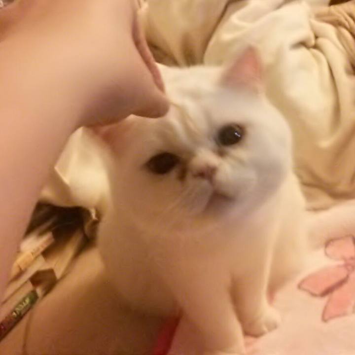 Fc4bc7a5 8eba 4b1f 80a1 768b97e322d7