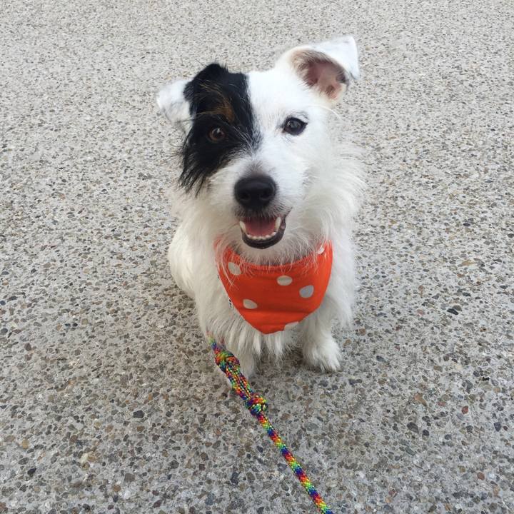 Fc4bece4 e69e 4637 ba8e bf6f6f9daf7f