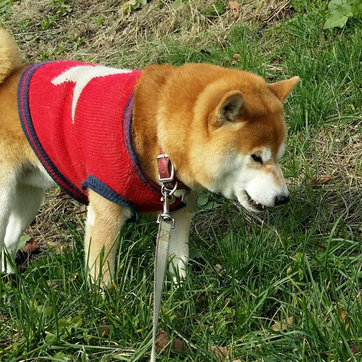 Fc4c159c 8c1f 4250 bbfd f7d3ec04369e