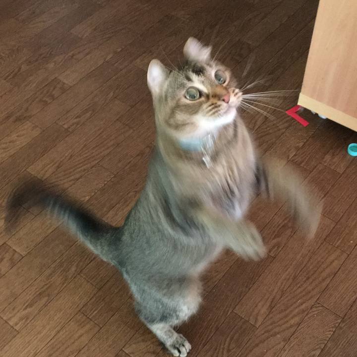 Fc4c2b97 0325 4222 b25f a4287c46f762