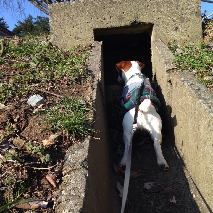 Fc4c41d1 7684 41f2 b8ce acbf0034bf39