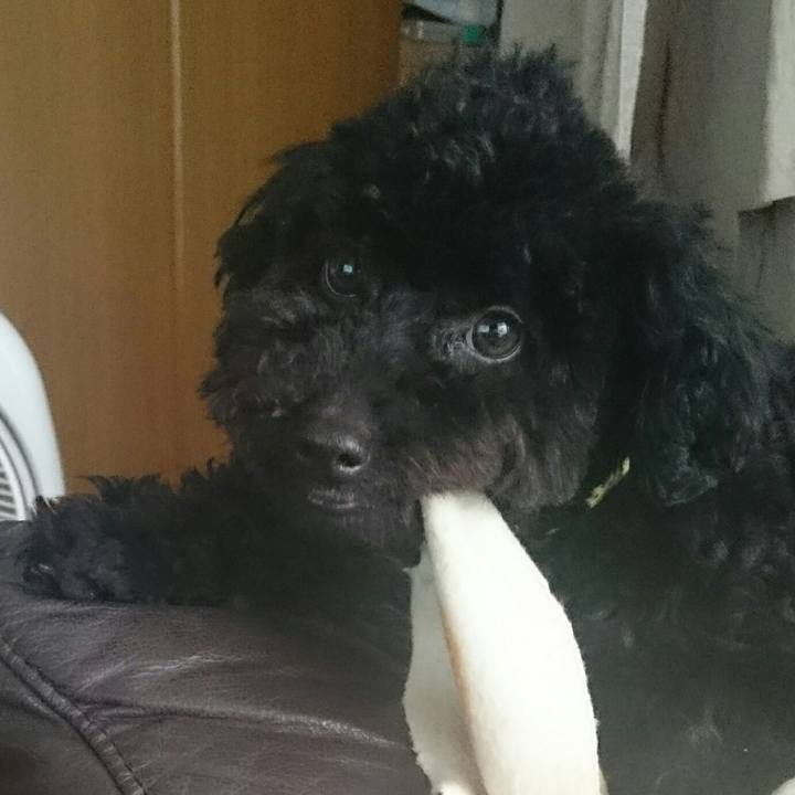 Fc4c4dce e0d7 422b 96ae 6ae7018fa3db