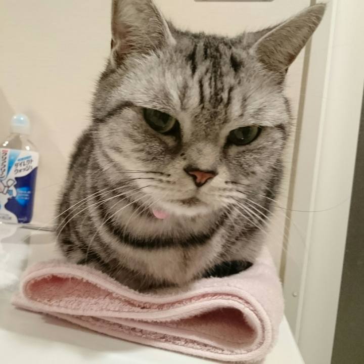 Fc4cad5b c43c 479d 946d 77128acd4dba