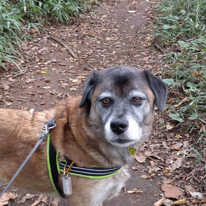 Fc4cc7fb b5d7 4bc1 b014 be21558d328d