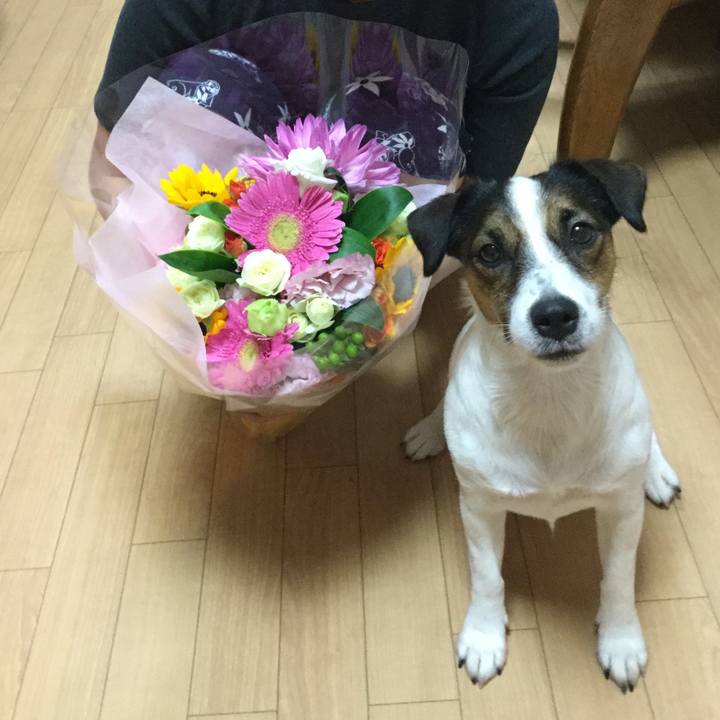 Fc4ccf63 4aa8 47de b0f6 976f98484f32