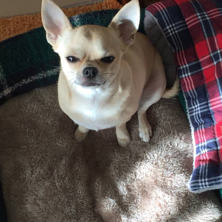 Fc4d0453 3bcc 4cca a620 d38a7e43a504