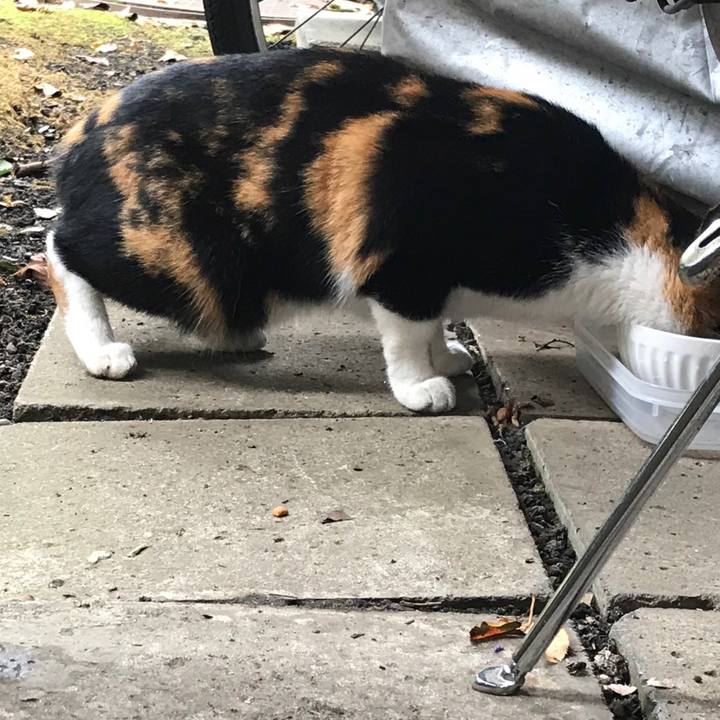 Fc4d1b0e fadf 4e4c 9aaa 9955eec98eb8